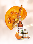 Monin Pumpkin Spice Syrup x 70cl (4438139043928)